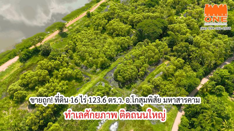 ที่ดิน 2000000 มหาสารคาม โกสุมพิสัย หนองบอน ที่ดิน 2000000 มหาสารคาม โกสุมพิสัย หนองบอน
