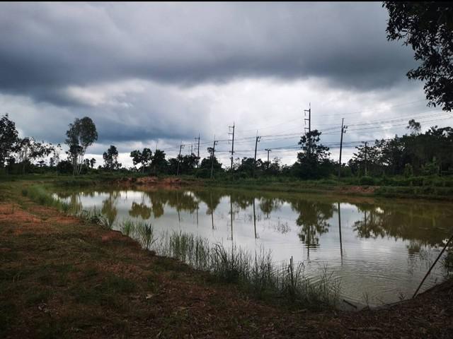 ที่ดิน 2400000 บึงกาฬ เซกา ท่ากกแดง ที่ดิน 2400000 บึงกาฬ เซกา ท่ากกแดง