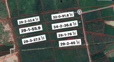 ที่ดิน 321998250 ระยอง เมืองระยอง กะเฉด