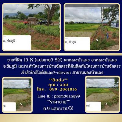 ที่ดิน 650000 ชัยภูมิ หนองบัวแดง หนองบัวแดง