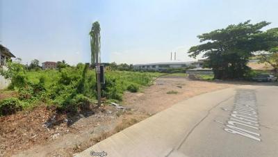 ที่ดิน 9000000 นครปฐม สามพราน ไร่ขิง