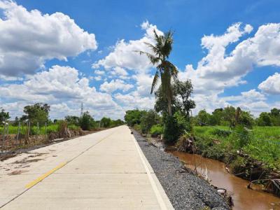 ที่ดิน 5900000 ปทุมธานี หนองเสือ บึงบา