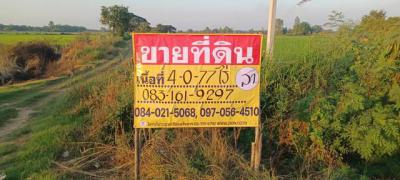 ที่ดิน 9000000 พิษณุโลก บางระกำ บางระกำ