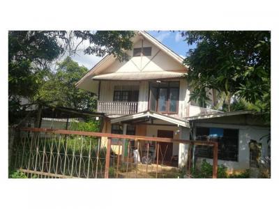 บ้านเดี่ยว 950000 นครพนม เมืองนครพนม บ้านผึ้ง