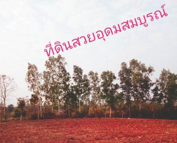 ที่ดิน 250000 เพชรบูรณ์ หล่มเก่า หล่มเก่า ที่ดิน 250000 เพชรบูรณ์ หล่มเก่า หล่มเก่า