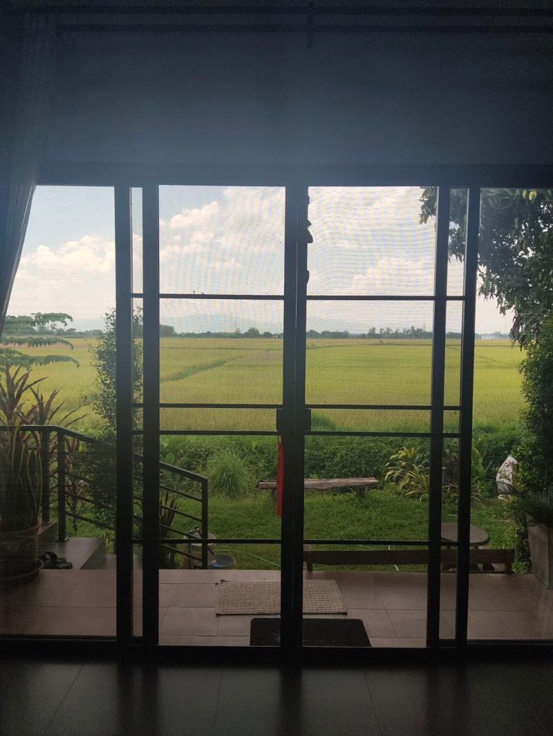 บ้านเดี่ยว 2500000 เชียงราย เวียงชัย เวียงเหนือ บ้านเดี่ยว 2500000 เชียงราย เวียงชัย เวียงเหนือ