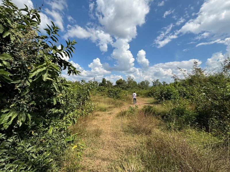 ที่ดิน 1260000 ลำปาง เมืองลำปาง ทุ่งฝาย ที่ดิน 1260000 ลำปาง เมืองลำปาง ทุ่งฝาย