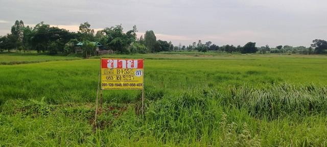 ที่ดิน 17000000 มหาสารคาม โกสุมพิสัย เขวาไร่ ที่ดิน 17000000 มหาสารคาม โกสุมพิสัย เขวาไร่