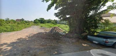 ที่ดิน 9000000 นครปฐม สามพราน ไร่ขิง