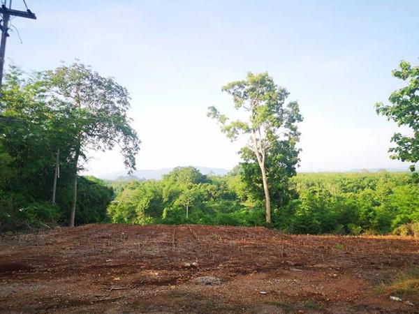 ที่ดิน 1600000 กาญจนบุรี ทองผาภูมิ ท่าขนุน ที่ดิน 1600000 กาญจนบุรี ทองผาภูมิ ท่าขนุน