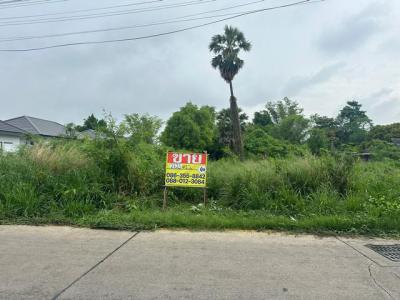 ที่ดิน 5200000 ชลบุรี เมืองชลบุรี นาป่า