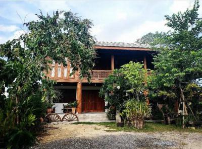 บ้านเดี่ยว 10000 นนทบุรี ไทรน้อย หนองเพรางาย