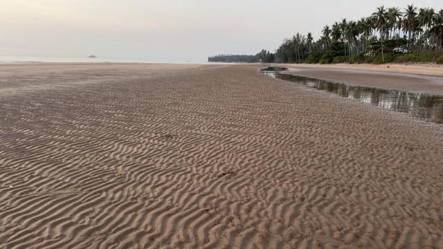 ที่ดิน 6800 ประจวบคีรีขันธ์ บางสะพานน้อย ทรายทอง ที่ดิน 6800 ประจวบคีรีขันธ์ บางสะพานน้อย ทรายทอง