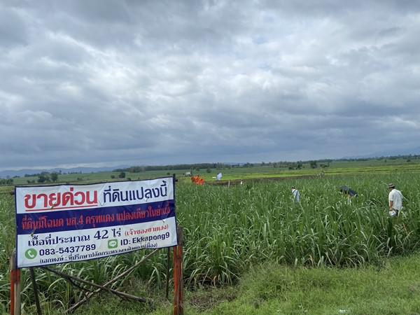 ที่ดิน 1800000 ตาก แม่สอด แม่ปะ ที่ดิน 1800000 ตาก แม่สอด แม่ปะ