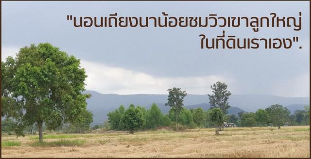 ที่ดิน 195000 ลพบุรี สระโบสถ์ นิยมชัย ที่ดิน 195000 ลพบุรี สระโบสถ์ นิยมชัย