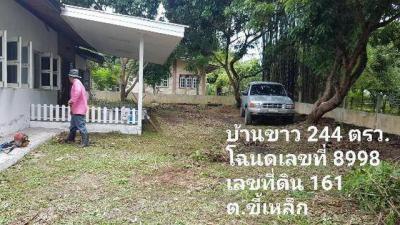 บ้านเดี่ยว 1200000 เชียงใหม่ แม่แตง ขี้เหล็ก