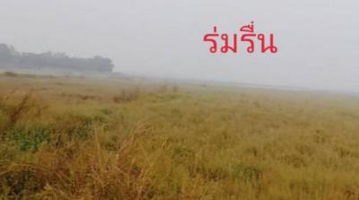 ที่ดิน 320000 พระนครศรีอยุธยา มหาราช มหาราช