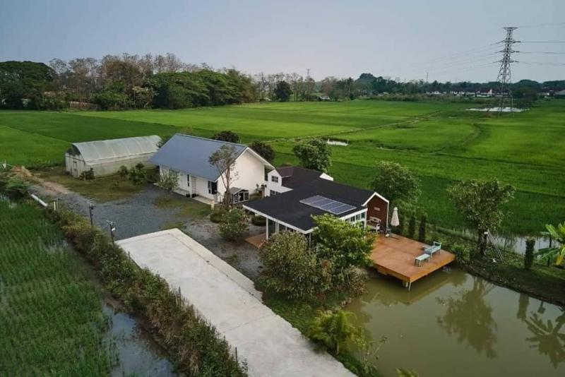 บ้านเดี่ยว 29900000 เชียงใหม่ แม่ริม ห้วยทราย บ้านเดี่ยว 29900000 เชียงใหม่ แม่ริม ห้วยทราย