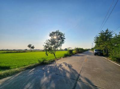 ที่ดิน 13000000 นนทบุรี ไทรน้อย ราษฎร์นิยม
