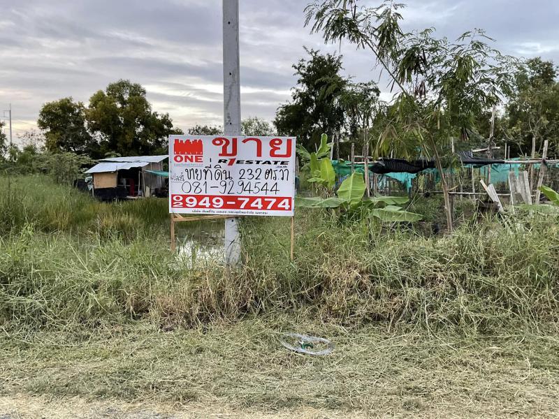ที่ดิน 4990000 ปทุมธานี คลองหลวง คลองสาม ที่ดิน 4990000 ปทุมธานี คลองหลวง คลองสาม