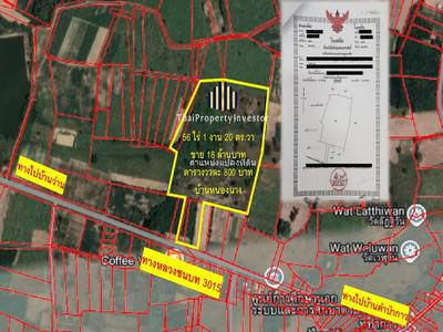 ที่ดิน 18000000 หนองคาย ท่าบ่อ หนองนาง