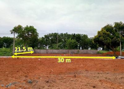 ที่ดิน 5500000 ชลบุรี บางละมุง หนองปรือ