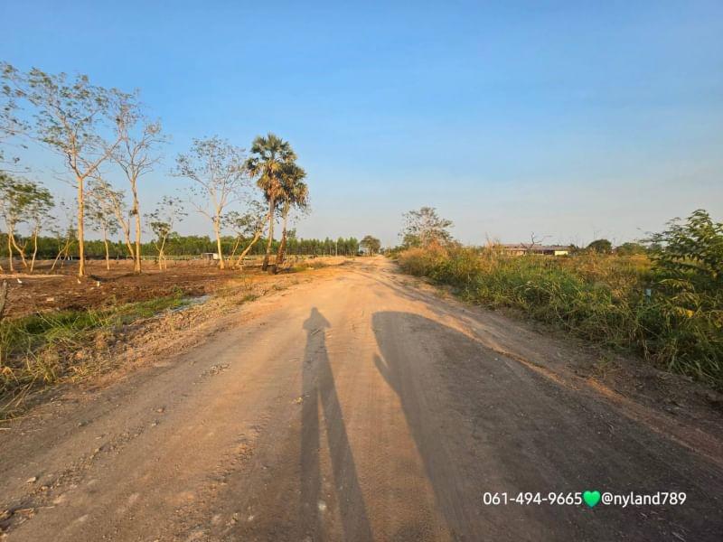 ที่ดิน 4080000 นครนายก องครักษ์ องครักษ์ ที่ดิน 4080000 นครนายก องครักษ์ องครักษ์