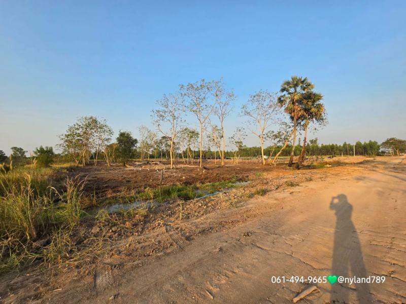 ที่ดิน 4080000 นครนายก องครักษ์ องครักษ์ ที่ดิน 4080000 นครนายก องครักษ์ องครักษ์