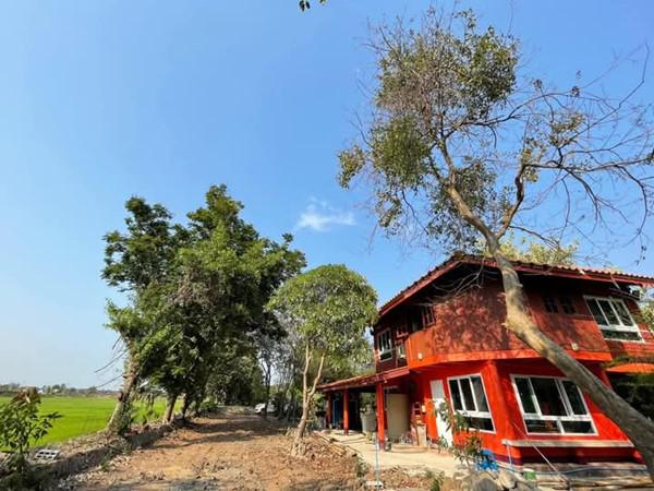 ที่ดิน 25000000 นครปฐม บางเลน หินมูล ที่ดิน 25000000 นครปฐม บางเลน หินมูล