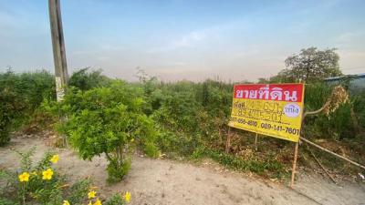 ที่ดิน 3239925000 กรุงเทพมหานคร เขตลาดกระบัง คลองสามประเวศ