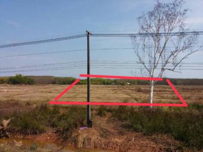 ที่ดิน 5850000 นครพนม บ้านแพง หนองแวง