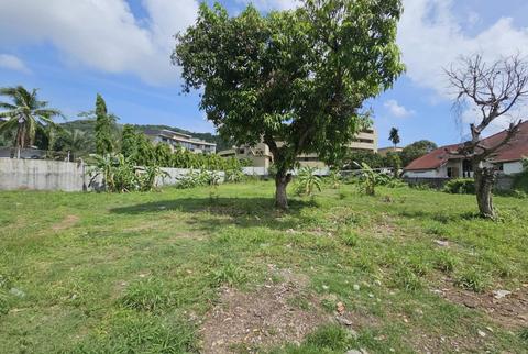 ที่ดิน 29000000 ภูเก็ต เมืองภูเก็ต กะรน ที่ดิน 29000000 ภูเก็ต เมืองภูเก็ต กะรน