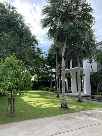 บ้านเดี่ยว 100000000 นนทบุรี เมืองนนทบุรี บางรักน้อย บ้านเดี่ยว 100000000 นนทบุรี เมืองนนทบุรี บางรักน้อย