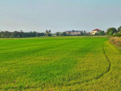 ที่ดิน 69000000 นนทบุรี บางใหญ่ เสาธงหิน