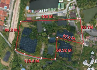โรงแรม 55000000 ชลบุรี สัตหีบ บางเสร่