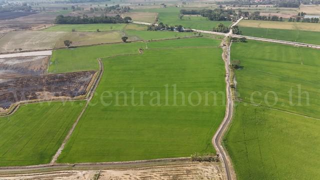 ที่ดิน 6500000 พระนครศรีอยุธยา ภาชี โคกม่วง ที่ดิน 6500000 พระนครศรีอยุธยา ภาชี โคกม่วง