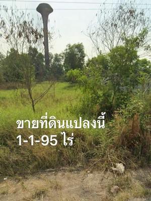 ที่ดิน 3990000 พระนครศรีอยุธยา บางปะอิน เชียงรากน้อย ที่ดิน 3990000 พระนครศรีอยุธยา บางปะอิน เชียงรากน้อย
