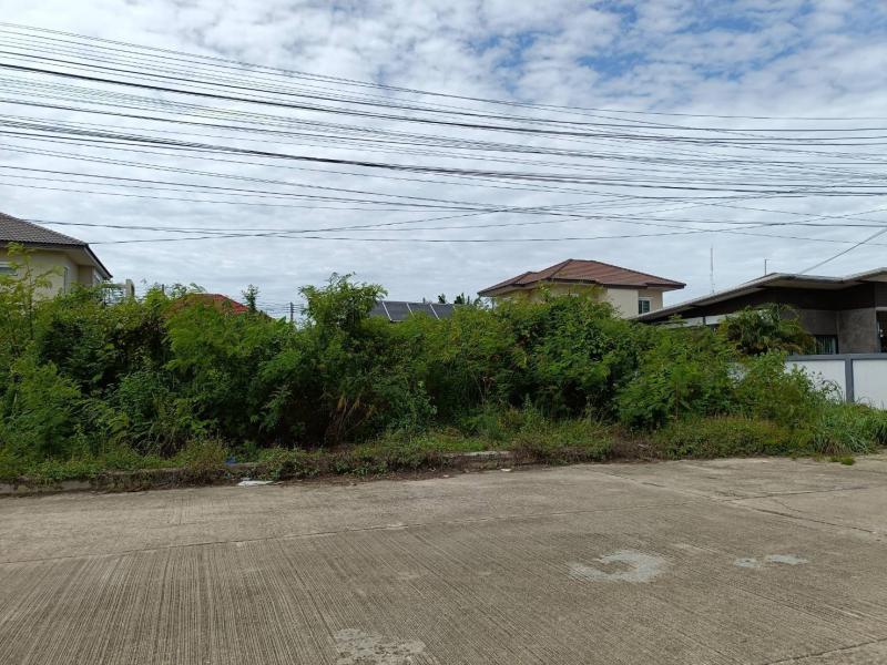 ที่ดิน 4350000 นครปฐม เมืองนครปฐม สามควายเผือก ที่ดิน 4350000 นครปฐม เมืองนครปฐม สามควายเผือก