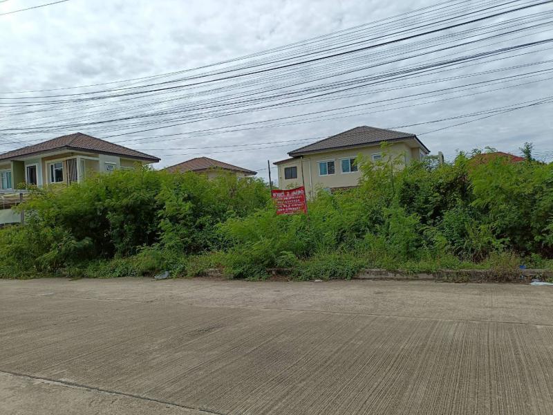 ที่ดิน 4350000 นครปฐม เมืองนครปฐม สามควายเผือก ที่ดิน 4350000 นครปฐม เมืองนครปฐม สามควายเผือก