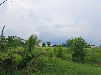 ที่ดิน 1500000 ปทุมธานี หนองเสือ บึงบา
