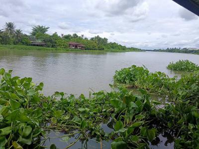 ที่ดิน 35000000 นครปฐม สามพราน บางกระทึก