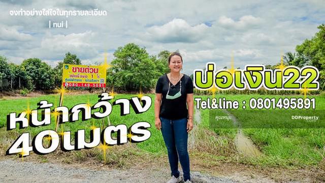 ที่ดิน 1950000 ปทุมธานี ลาดหลุมแก้ว บ่อเงิน ที่ดิน 1950000 ปทุมธานี ลาดหลุมแก้ว บ่อเงิน