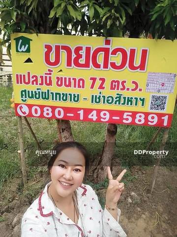 ที่ดิน 10815000 นนทบุรี เมืองนนทบุรี สวนใหญ่ ที่ดิน 10815000 นนทบุรี เมืองนนทบุรี สวนใหญ่