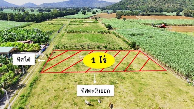 ที่ดิน 590000 สุพรรณบุรี อู่ทอง ดอนคา ที่ดิน 590000 สุพรรณบุรี อู่ทอง ดอนคา