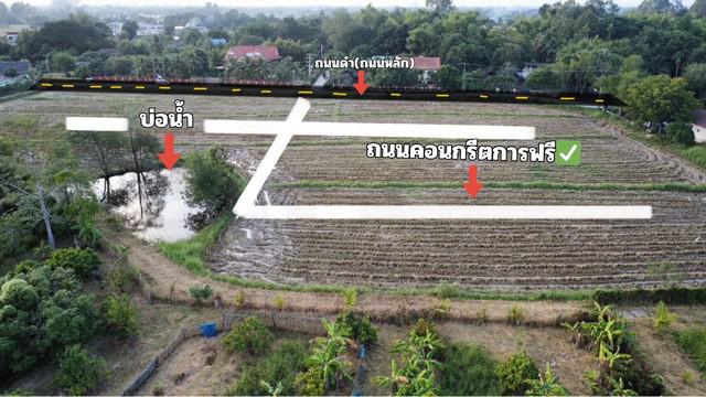 ที่ดิน 453000 เชียงใหม่ ดอยสะเก็ด สง่าบ้าน ที่ดิน 453000 เชียงใหม่ ดอยสะเก็ด สง่าบ้าน