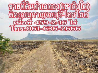ที่ดิน 207000000 กาญจนบุรี เมืองกาญจนบุรี วังด้ง