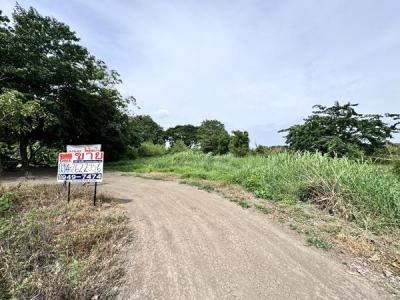 ที่ดิน 12500000 ปทุมธานี สามโคก สามโคก