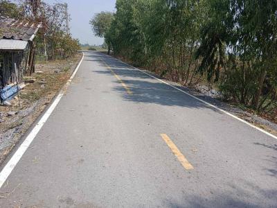 ที่ดิน 380000 นครปฐม บางเลน บางไทรป่า