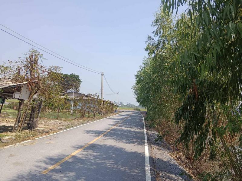 ที่ดิน 380000 นครปฐม บางเลน บางไทรป่า ที่ดิน 380000 นครปฐม บางเลน บางไทรป่า