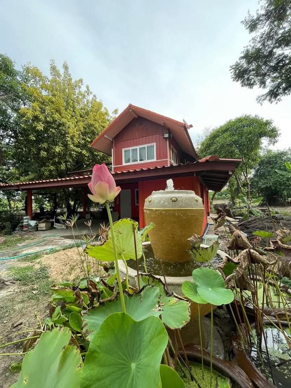 ที่ดิน 25000000 นครปฐม บางเลน หินมูล ที่ดิน 25000000 นครปฐม บางเลน หินมูล
